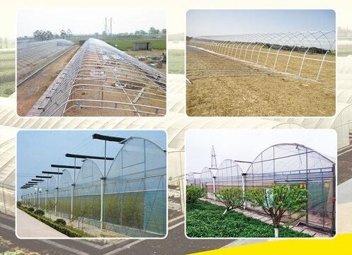陜西溫室大棚安裝 陜西溫室大棚安裝