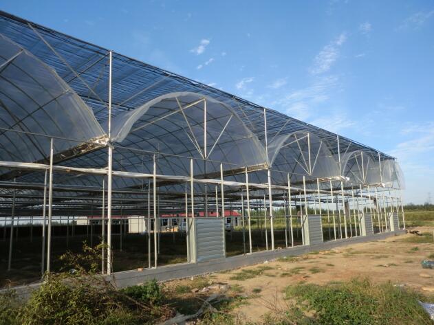 陜西溫室大棚突然遇到冰雹天氣該如何避免？